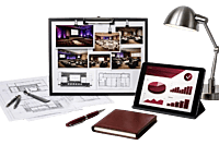 Conceptualization & Curation